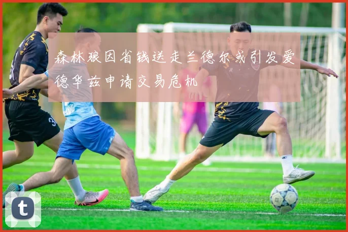 森林狼因省钱送走兰德尔或引发爱德华兹申请交易危机